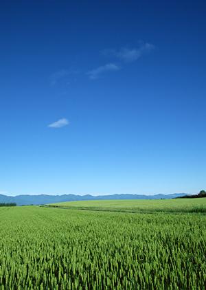 【公式】さがみ典礼 黒磯｜栃木県那須塩原市で信頼の葬儀サービスと充実した設備を提供