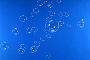 お墓でお悩みの方に樹木葬の紹介