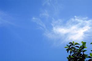 富士葬祭 富士瓜島：家族と地域に寄り添う信頼の葬儀サービス