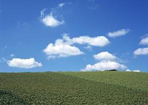 【浜松市中央区高林】富士葬祭高林｜家族葬・一式葬に対応した安心の葬儀場