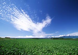 磐田市大原にある安心の葬儀場【富士葬祭 大原】の特徴とサービス詳細