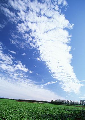 静岡県焼津市の家族葬・一日葬に最適な富士葬祭焼津：安心と信頼の葬儀サービス