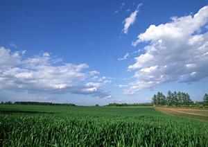 栃木市で信頼の葬儀サービスを提供するさがみ典礼 栃木昭和町の特徴と詳細情報