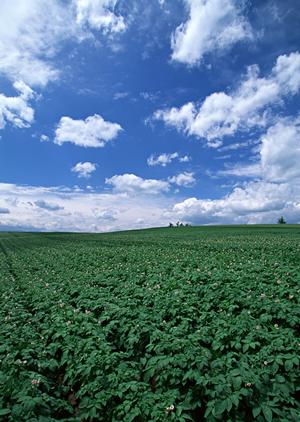 静岡県浜松市における家族葬の専門斎場「家族葬のタクセル住吉」の詳細と特徴