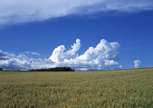 いまこう羽束師会館で特別なご葬儀を