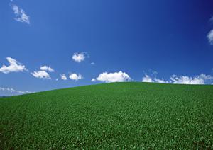 静岡市を中心に展開！富士葬祭 慈悲尾の家族葬・一般葬をサポートする安心の葬儀場とその特徴