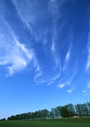 安心な料金設定がある川越の葬儀社とは