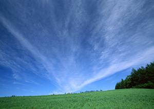 静岡県浜松市における家族葬の最適会場：富士葬祭佐鳴台のサービスと特徴