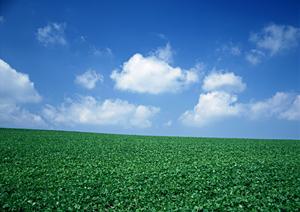 柏市で家族葬をするならファミーユ