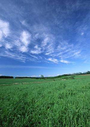 静岡県焼津市に新たにオープンした家族葬のタクセル西焼津：質と価格にこだわった家族葬専門の斎場紹介