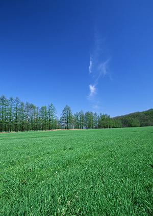 静岡県富士宮市の家族葬専門斎場｜家族葬のタクセル宮原の全て