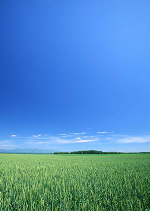 宇都宮市の家族葬専門斎場【家族葬のタクセル今泉新町】の特徴とサービス紹介