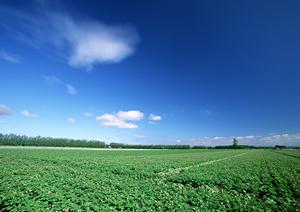 高崎周辺で葬儀を考えている人へ