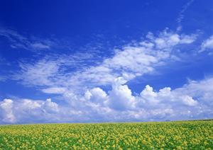 静岡県藤枝市における安心の葬儀サービス【富士葬祭 藤枝城南】の詳細解説と特徴