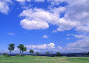 静岡で永代供養を行いたいのなら