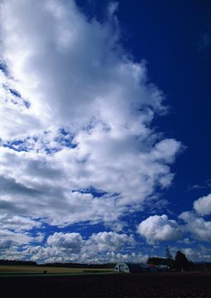 金沢市で安心して葬儀を行う方法