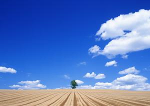 焼津市で納骨堂ならこちらが一番