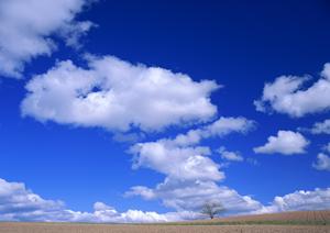 静岡市で信頼できる家族葬と小規模葬儀を提供する富士葬祭折戸：安心の葬儀プランとアクセス情報