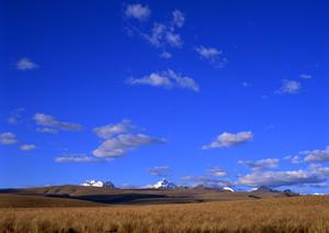 熊野市の人がお墓の建立を考えているなら