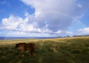 静岡県・菊川市で選ばれる葬儀場【富士葬祭 菊川】の特徴とご利用ガイド