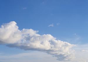 403 Forbiddenエラーの原因と対処法｜ウェブサイト訪問時のトラブル解決ガイド