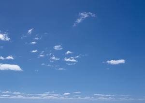 野田市に安心・信頼の葬儀を実現する【ティア野田】の特徴と詳細情報