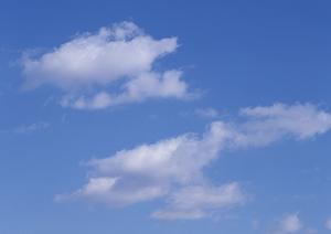 静岡市葵区に新規オープン！家族葬に最適な【家族葬のタクセル新伝馬】詳細ガイド