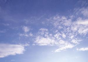 大阪で樹木葬をしたいと考えているなら