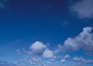 浜松市で安心・信頼の葬儀を提供【富士葬祭高林】の魅力と詳細情報