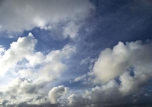 海洋散骨を希望する人に便利なサービス