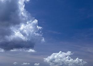 静岡県内で信頼できる葬儀サービスを提供する【家族葬のタクセル】の詳細情報と特徴解説