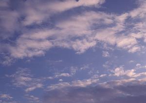 仏壇を通販で購入できるようになりました