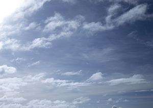 鹿児島のNPO活動を成功に導く！最新2025年版効果的な運営と支援のポイント