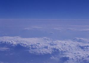 静岡市で信頼の葬儀サービスを提供する富士葬祭 双樹の魅力と特徴